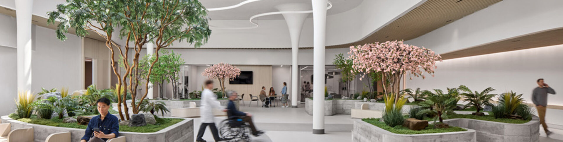 Bright hospital atrium with white columns, concrete planters holding trees and cherry blossoms, a doctor pushing a wheelchair and visitors.