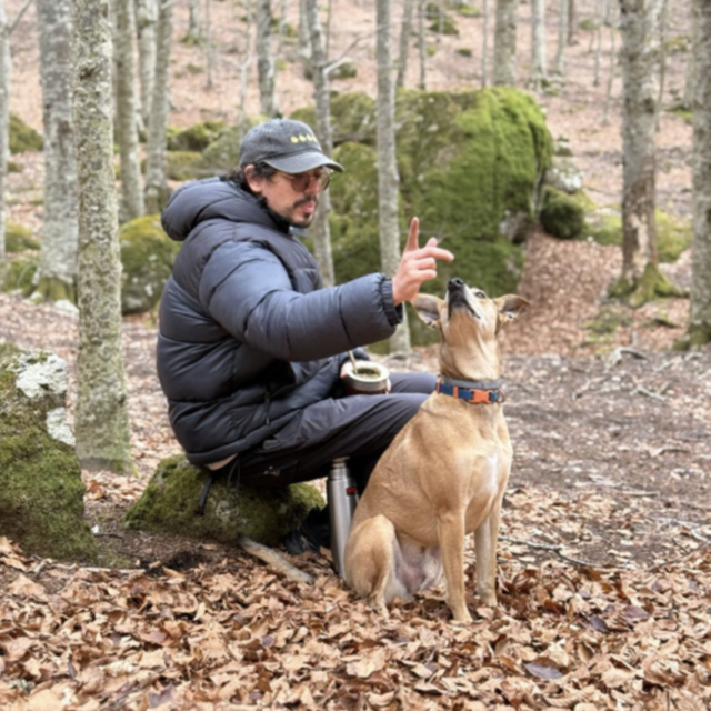 Bougie Woogie Dog Hike Joy Diaries