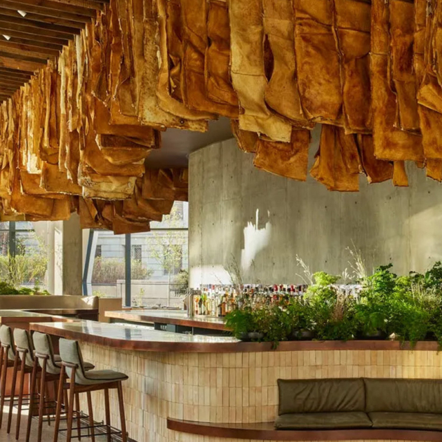 Pasque Bar Credit Yoshihiro Makino small