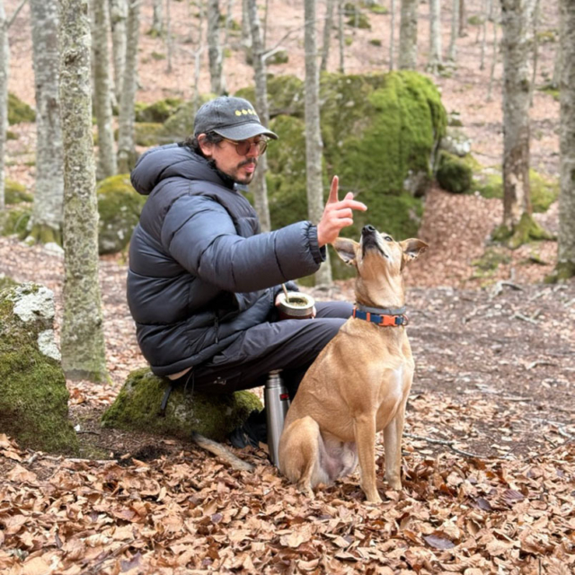 Bougie woogie joydiaries dogs option2