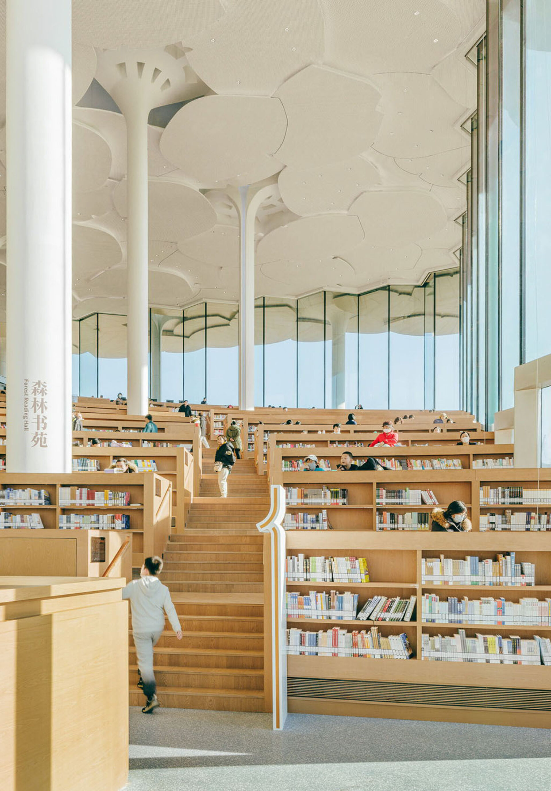 Snohetta Beijing Library 2