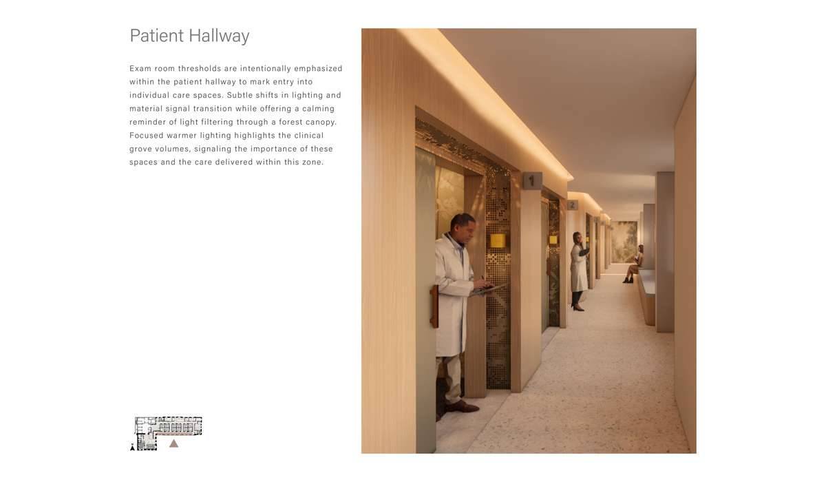 A serene patient hallway features exam room entrances marked by warm lighting and natural elements, enhancing calm and focus for care.