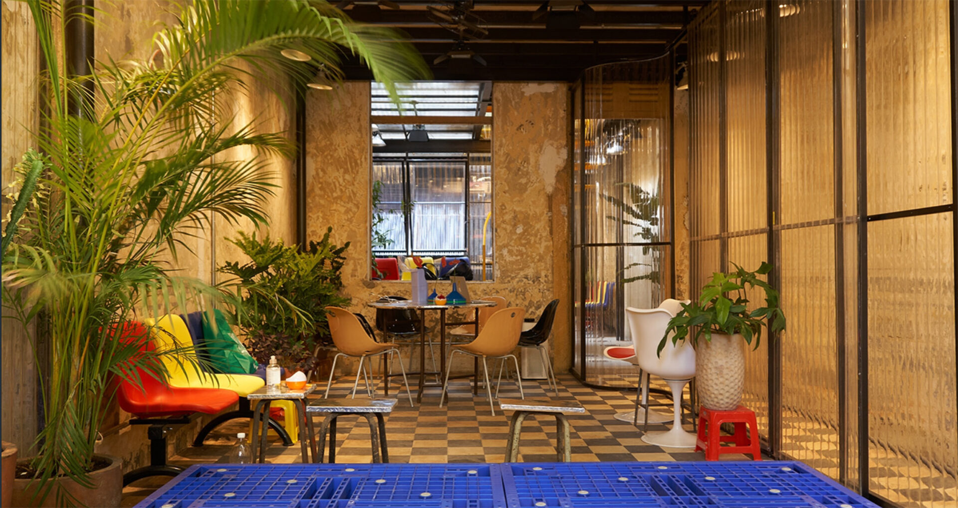 Perspective Access Hero Image Zorba