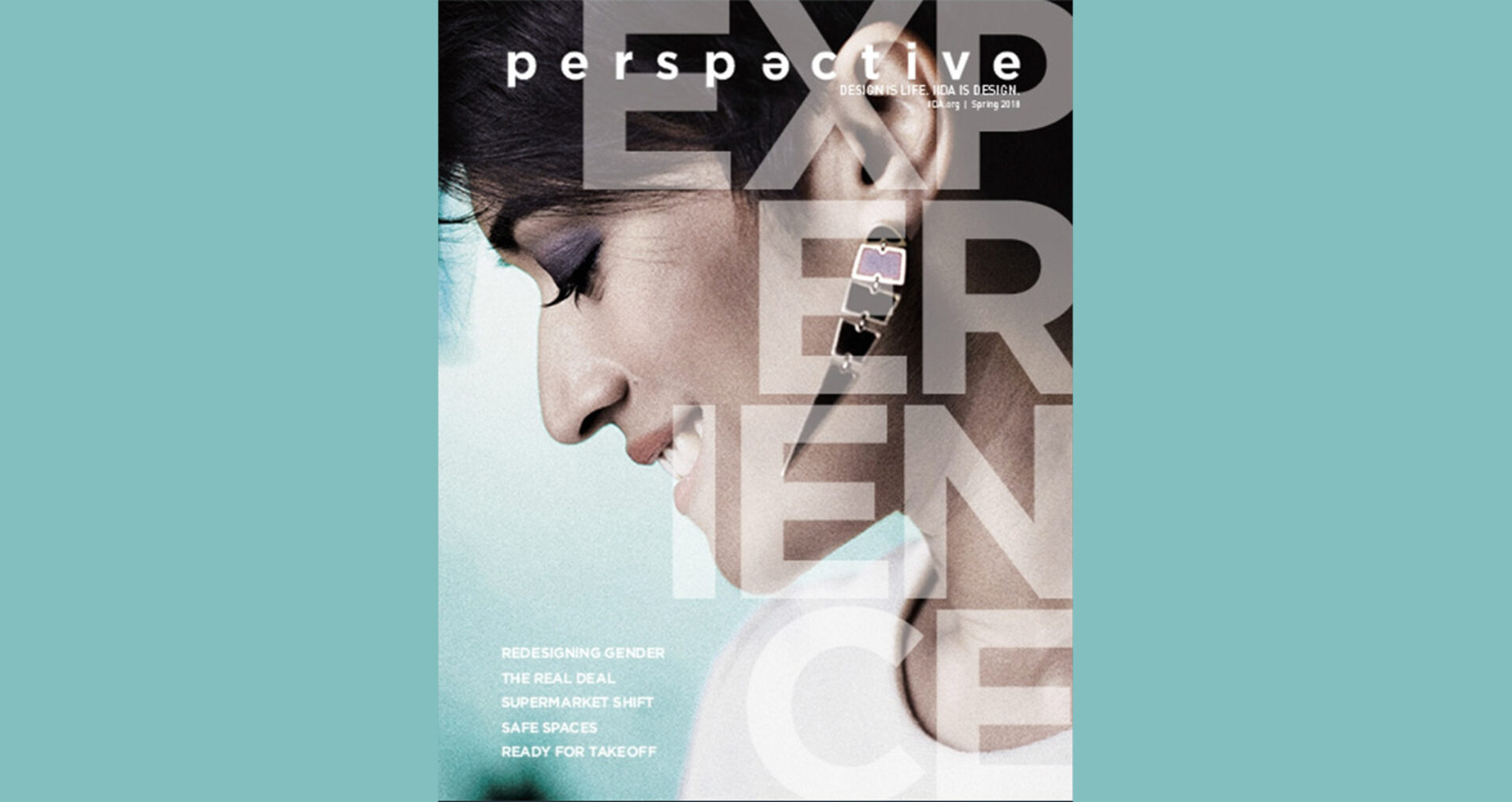 Perspective Experience Cover