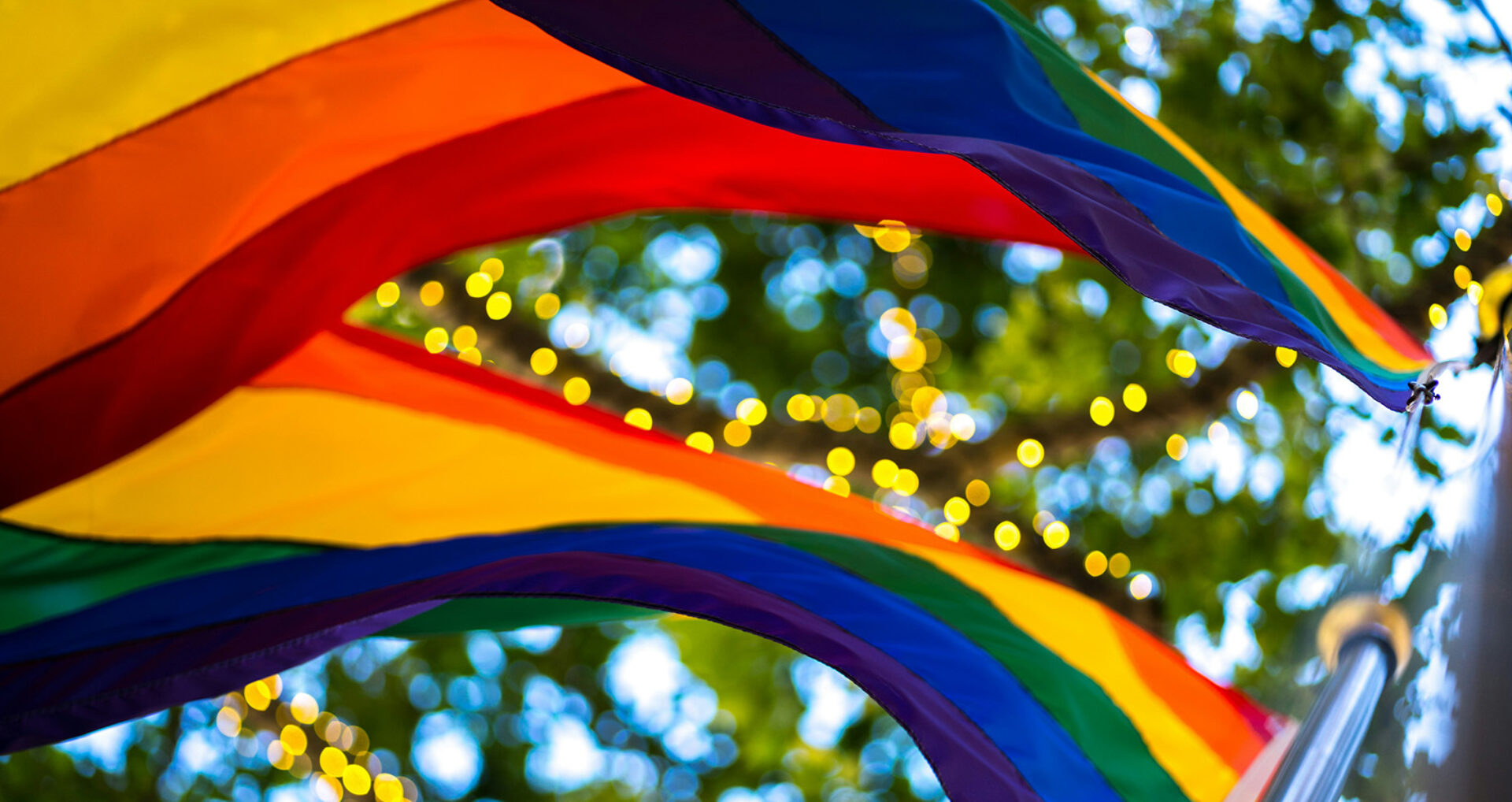 Several rainbow pride flags ripple overhead against a leafy green canopy, strings of warm bokeh lights twinkling between fabric folds.