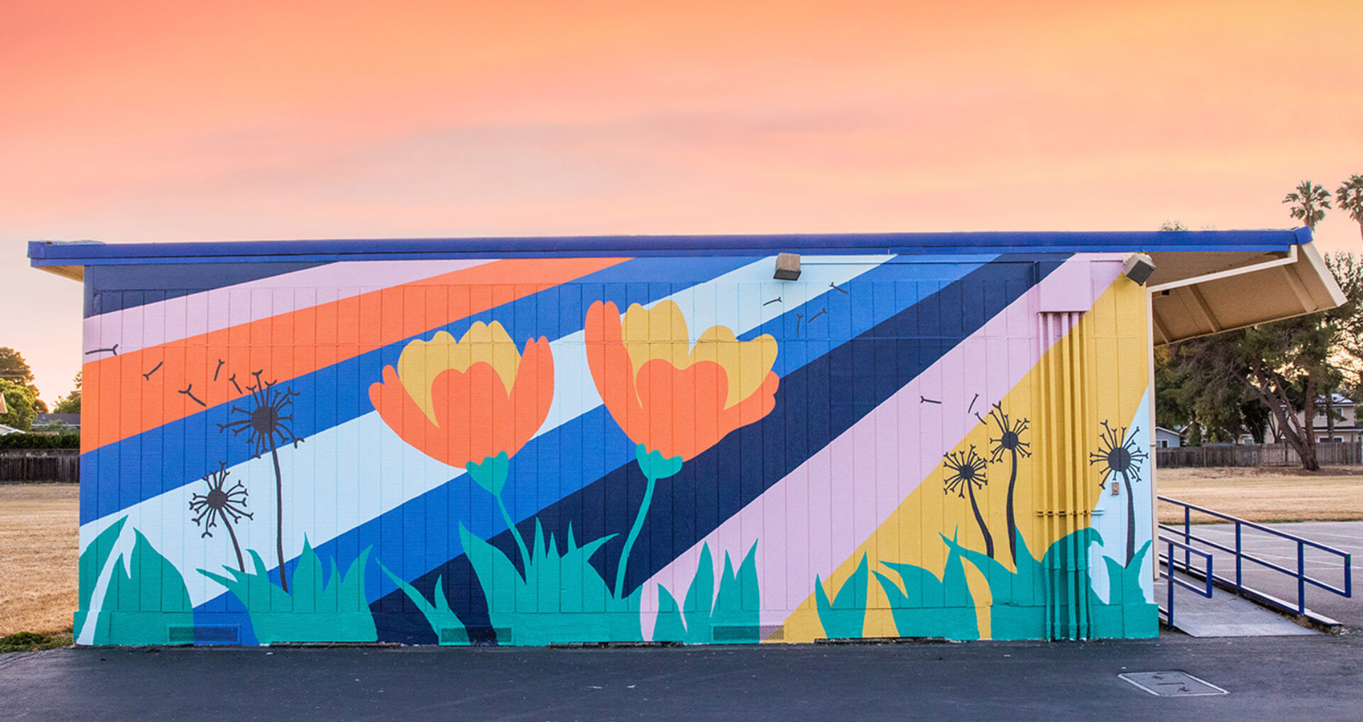 Project Color Corps Perspective Social Good Hero