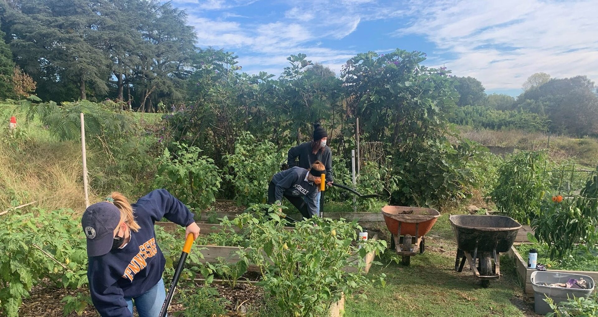 STU Image1 Tenn Knoxville 210407