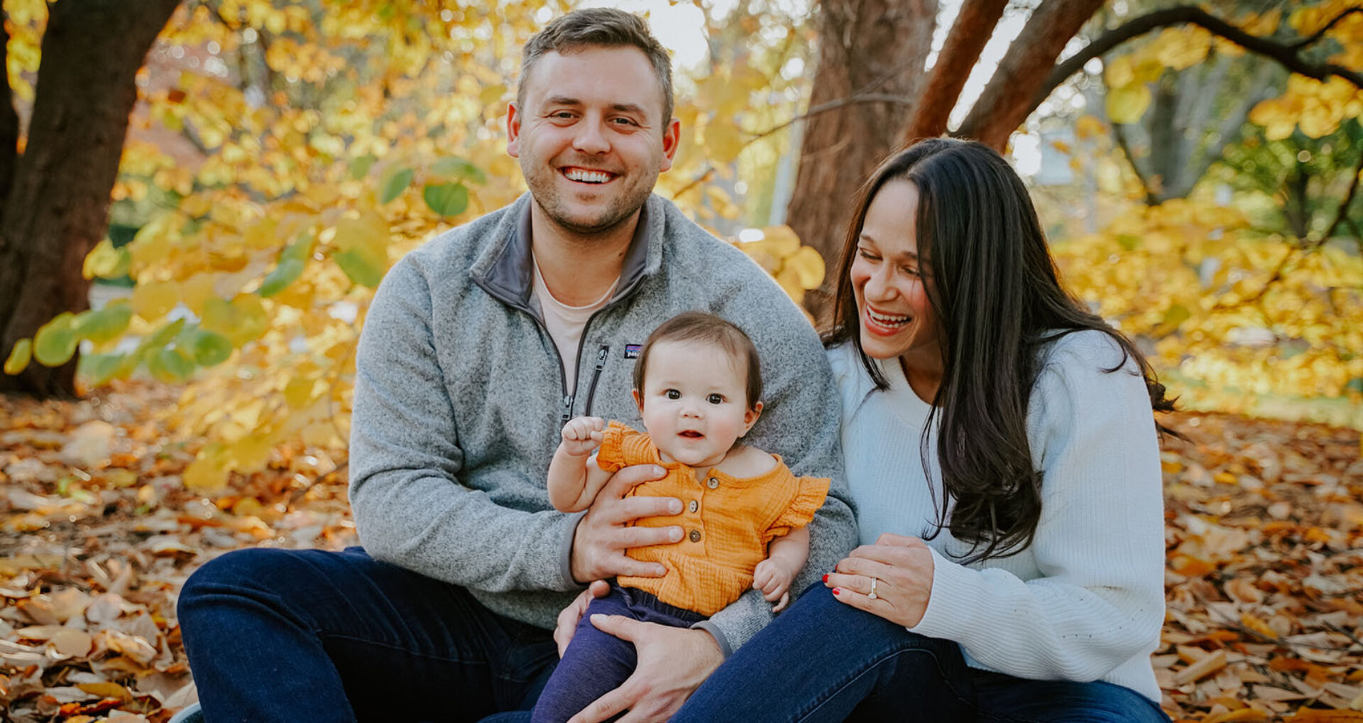 Article hero option1