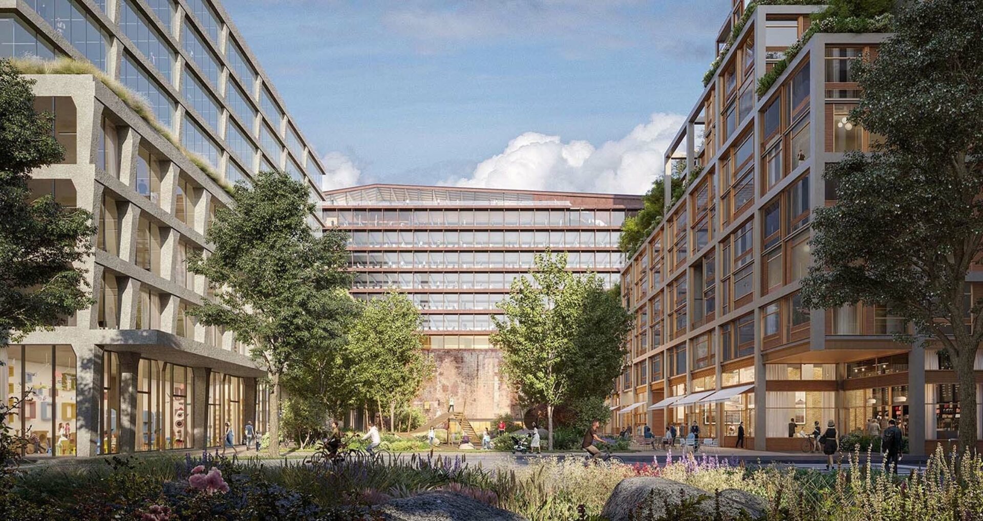 Perspective Dog Patch hero