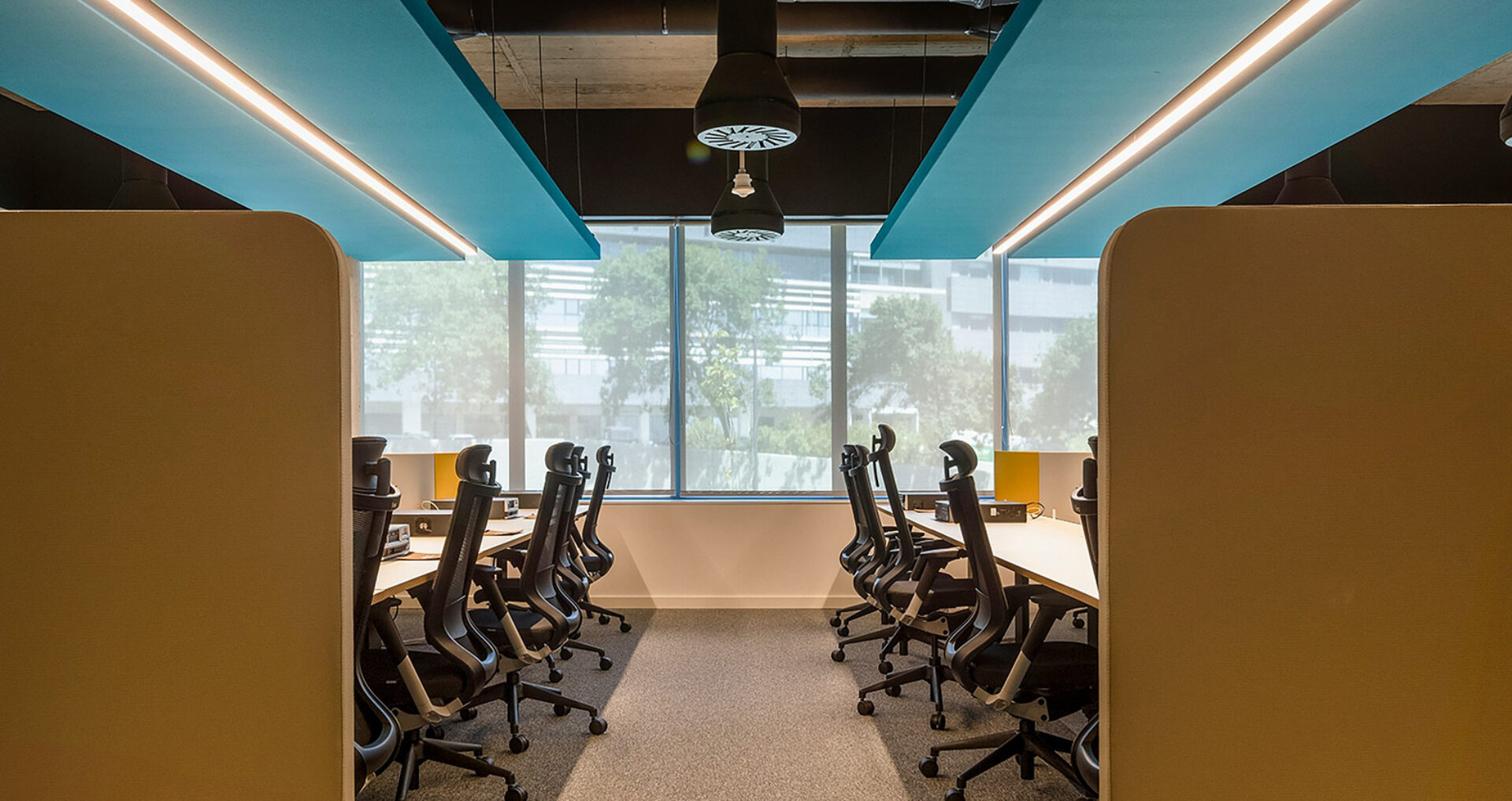Modern open office with two rows of black ergonomic chairs at light wood desks beneath teal acoustic ceiling panels and frosted windows.