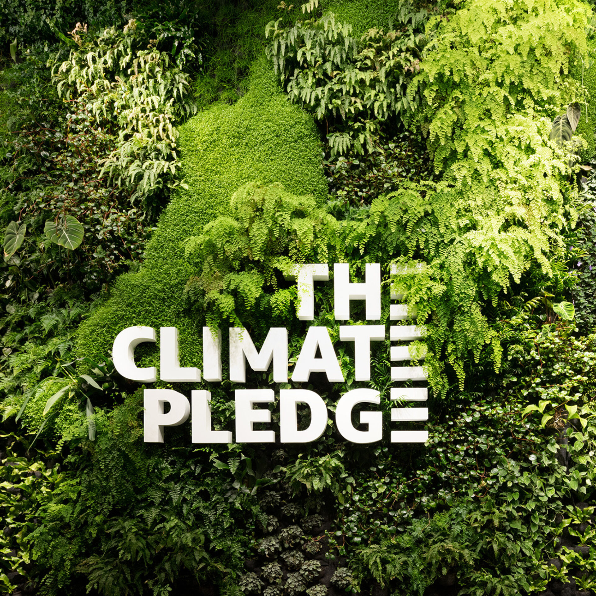 Seattleclimatechangearena editorspicks