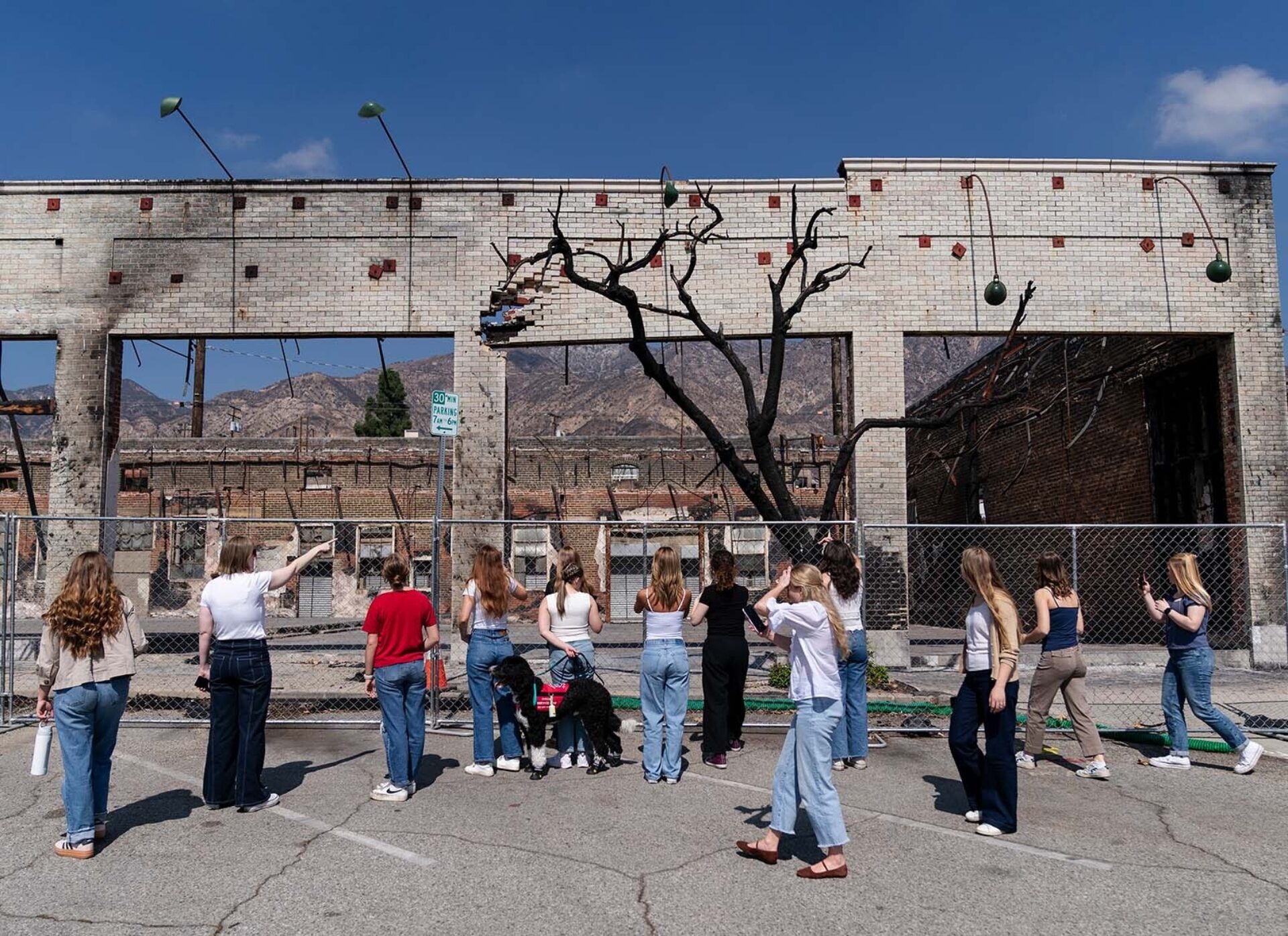 Group of young women and a service dog stand behind a chain-link fence viewing a burned, gutted white-brick storefront and charred tree.