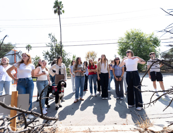Group of young adults standing on a sunny street, listening to a woman gesturing, in casual clothes, a black-and-white service dog nearby.