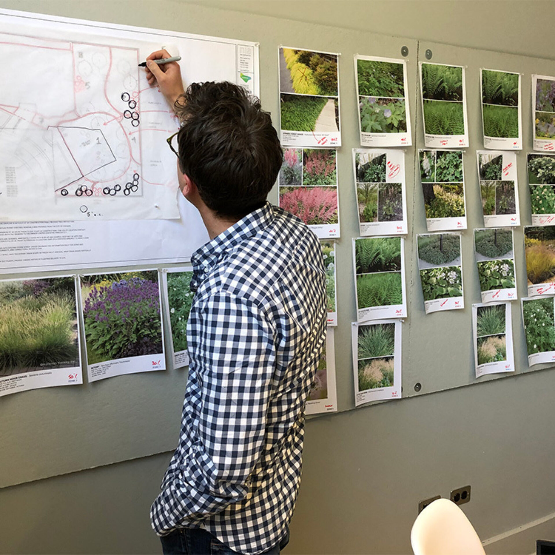 A man in a checked shirt sketches on a garden plan, surrounded by various photographs of plants and landscapes pinned on a board.