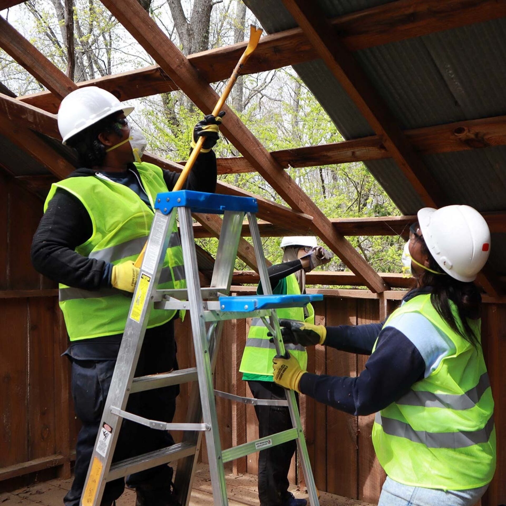 Shannongoodman perspective tableofcontents