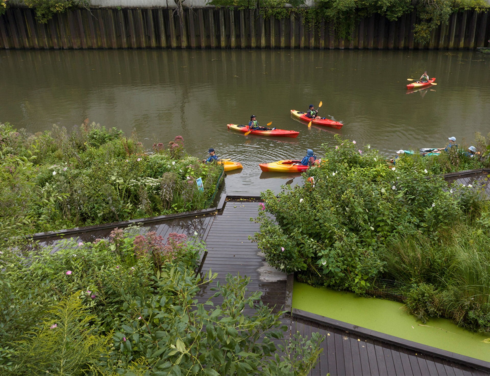 Kayakers in bright boats paddle along a calm river, surrounded by lush green foliage and a wooden dock leading to the water.