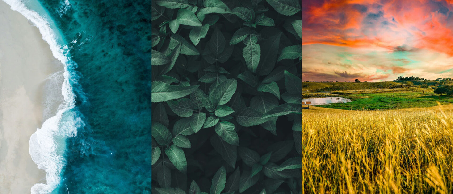 KOROSEAL Beyond Biophilia event banner