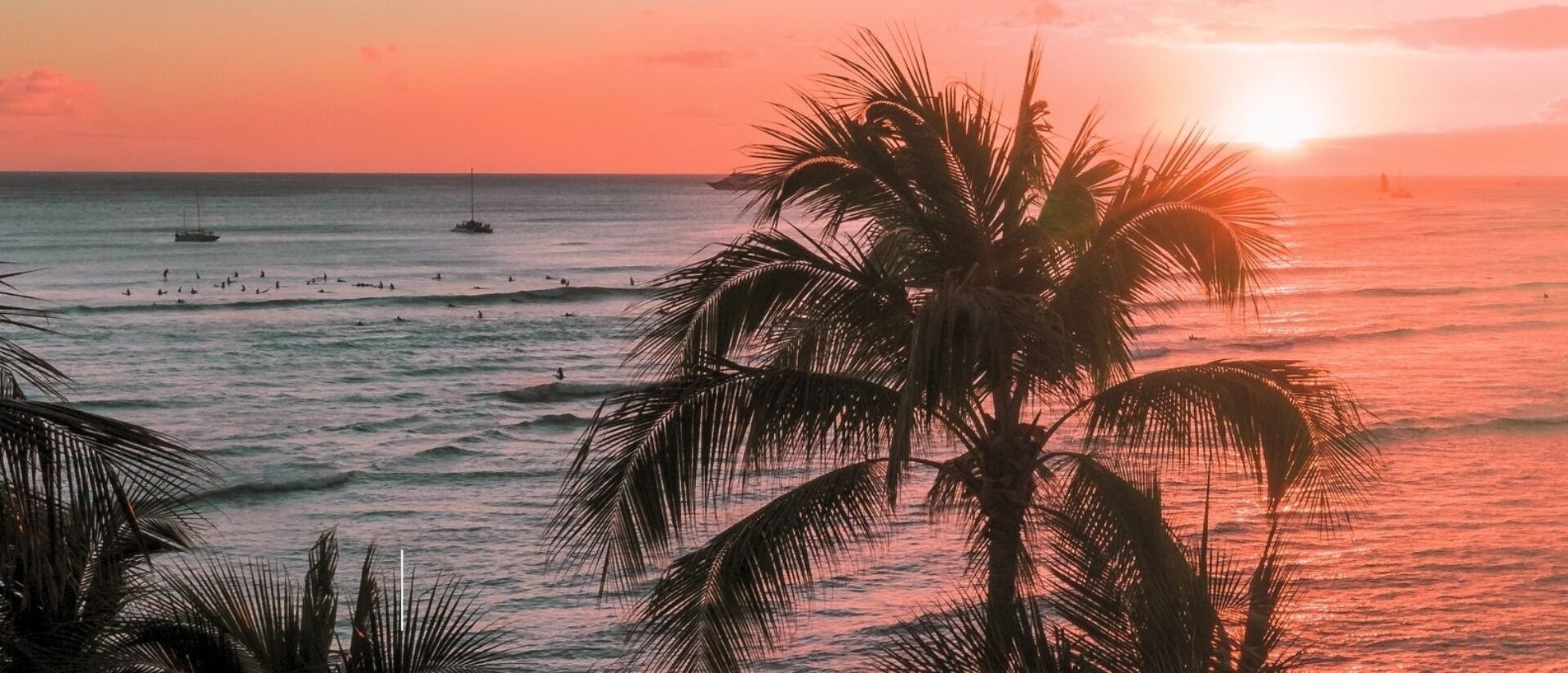 Silhouetted palm trees frame a coral-orange sunset over calm ocean waves with dozens of surfers waiting in lines and distant sailboats.