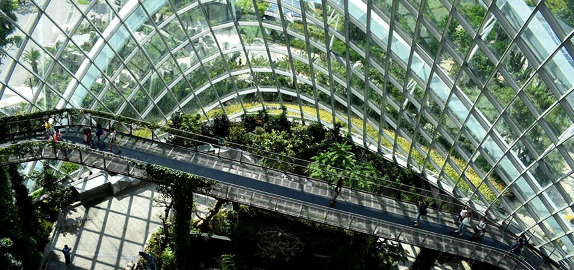 A glass-enclosed structure features lush greenery and a winding walkway where visitors explore the vibrant indoor garden setting.
