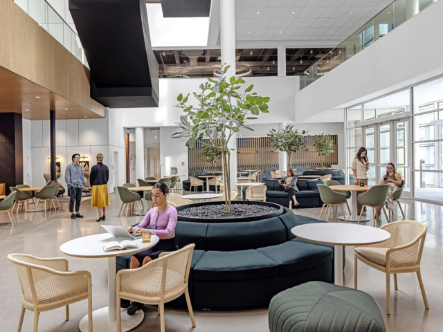 25 GEA Final Corp HOK 3