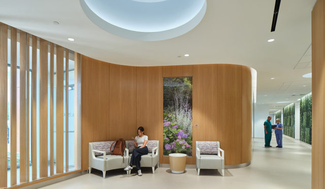 25 HDA Winner Amb Can Cen Cone Perkins Will 4