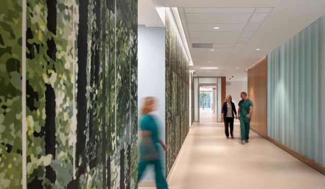 25 HDA Winner Amb Can Cen Cone Perkins Will 5