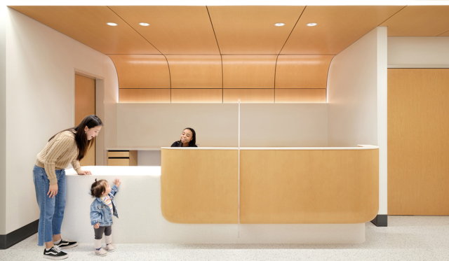 25 HDA Winner Amb Pedi Plano Perkins Will 1