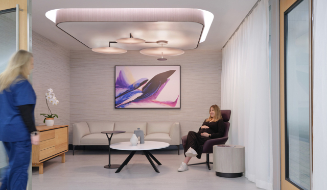 25 HDA Winner Amb Pedi Plano Perkins Will 10