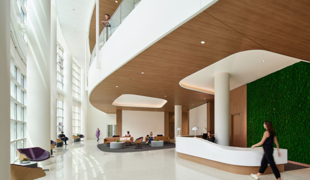 25 HDA Winner Hosp Com Norman HGA 3