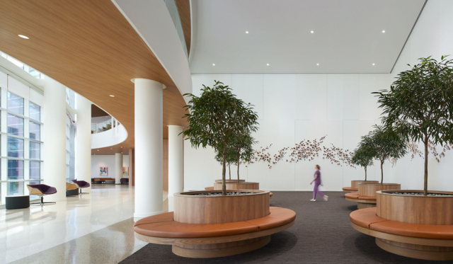 25 HDA Winner Hosp Com Norman HGA 5