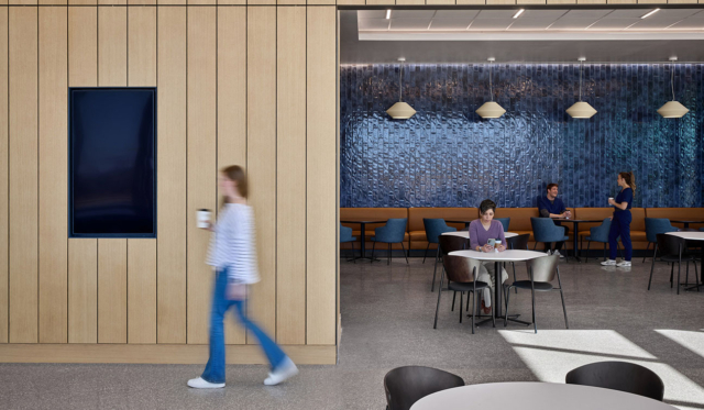 25 HDA Winner Hosp Comm Methodist Perkins Will 3