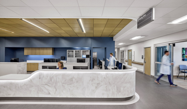 25 HDA Winner Hosp Comm Methodist Perkins Will 7