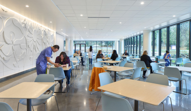 25 HDA Winner Hosp Psychiatric UW Cannon Design 5