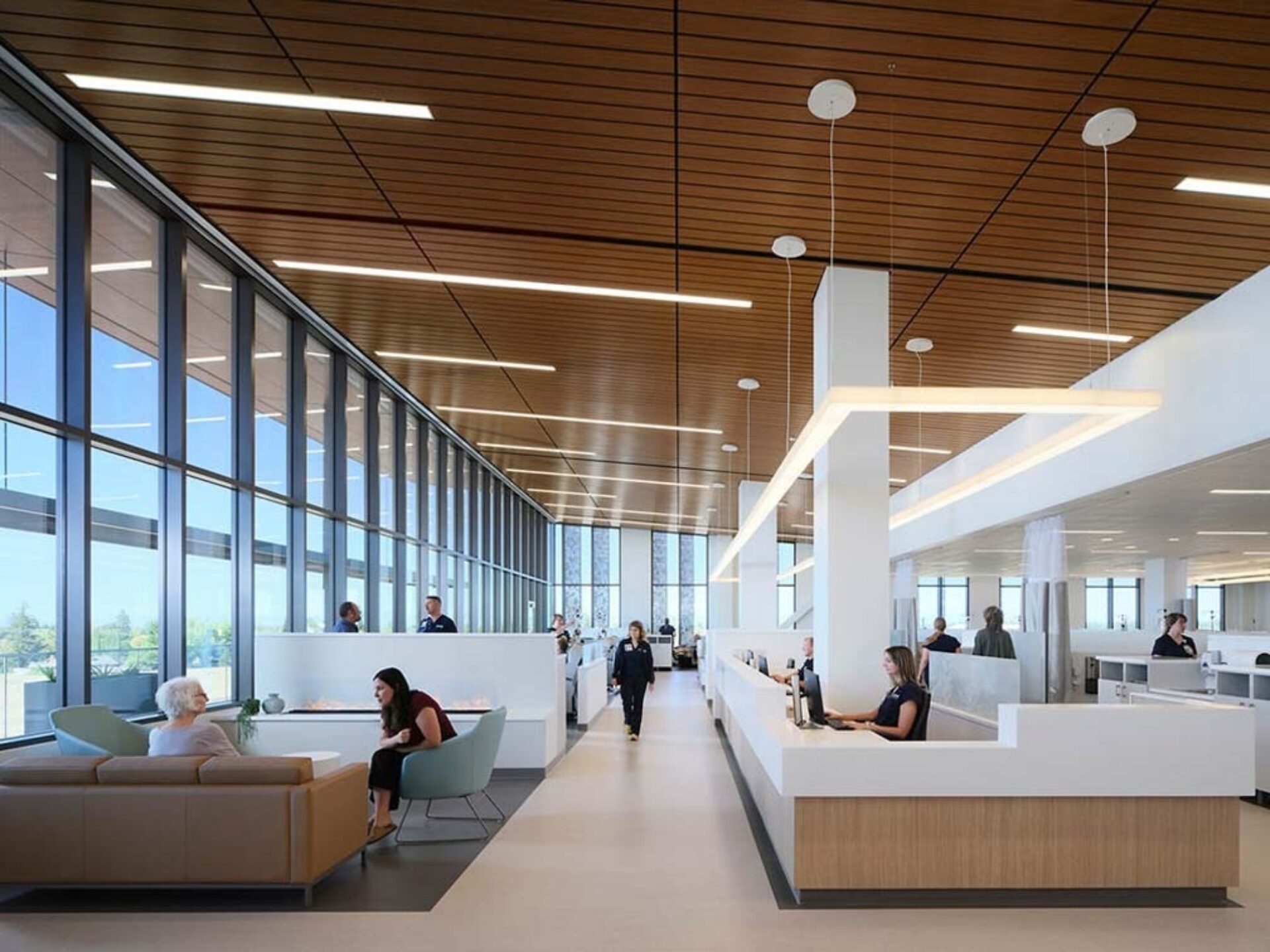 Spacious modern clinic lobby with wood-paneled ceiling, floor-to-ceiling windows, seating alcoves and long white reception desks with staff.