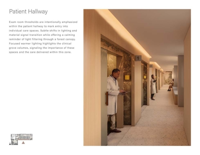 A modern patient hallway features exam room entries with warm lighting, creating a calm atmosphere for clinical care and transition.