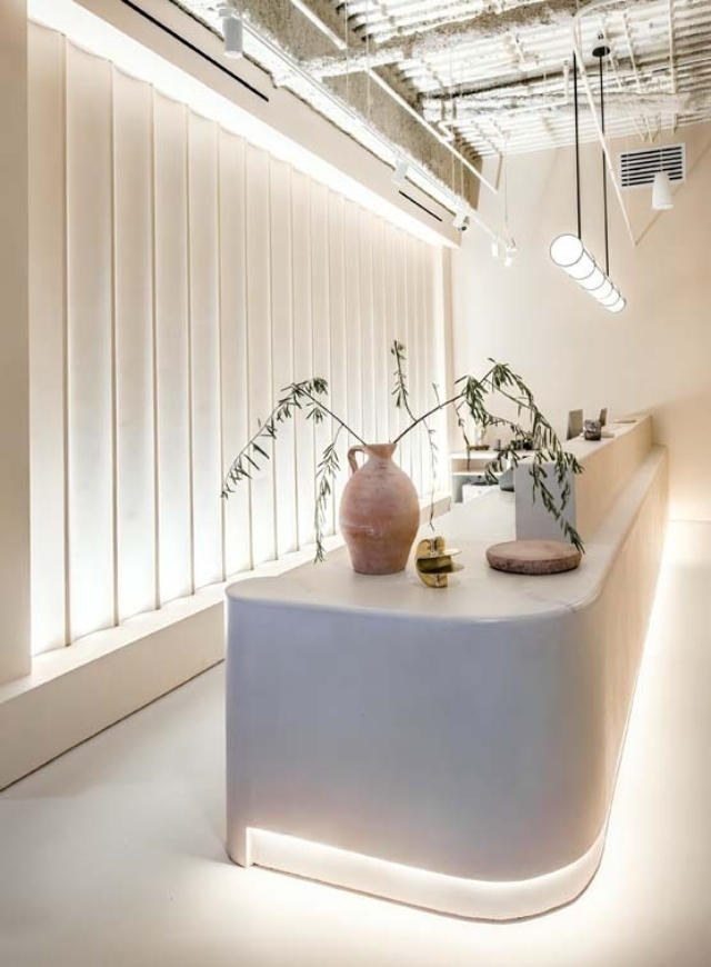 A minimalist reception area features a curved, white desk with a clay vase and greenery, brightened by soft lighting and natural textures.