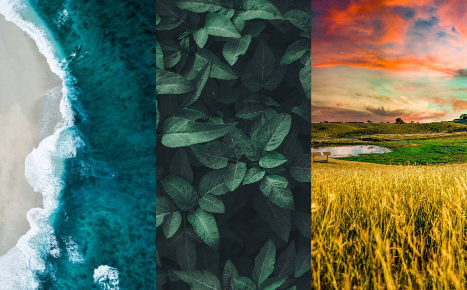 KOROSEAL Beyond Biophilia event thumb