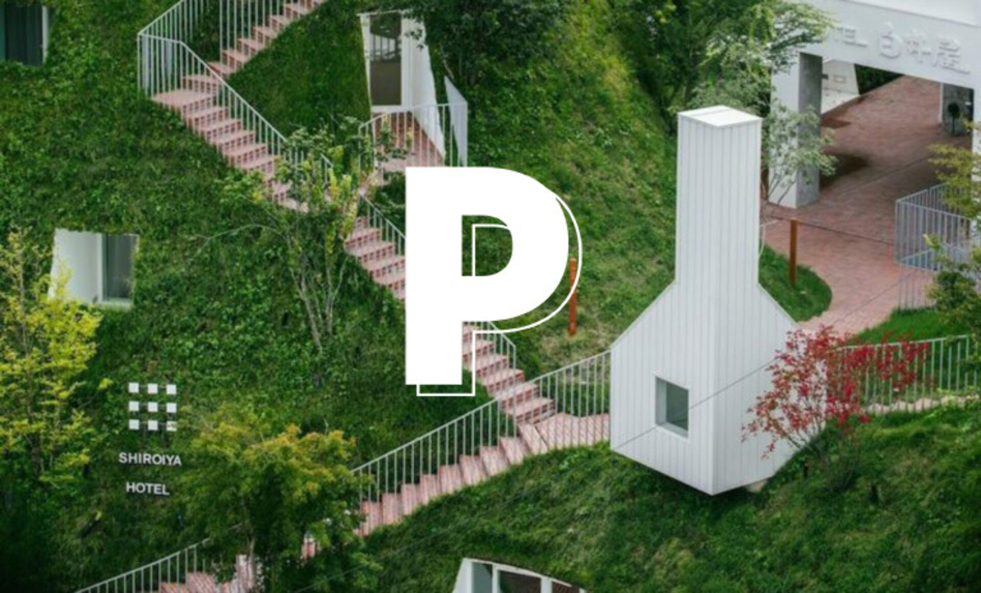 Perspective Innovation Thumb