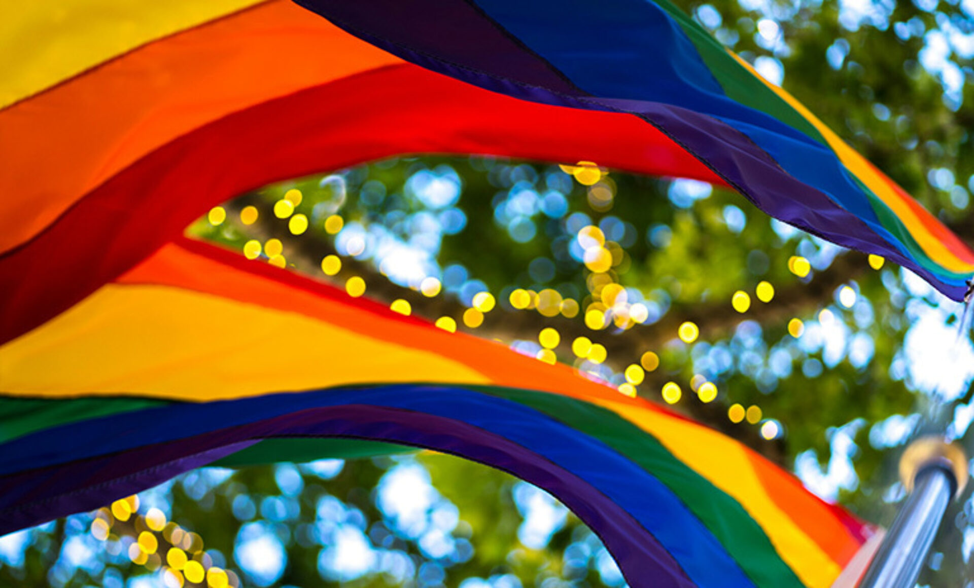 Vibrant rainbow pride flags ripple overhead against a sunlit green tree canopy, warm string lights bokeh sparkling through the fabric.