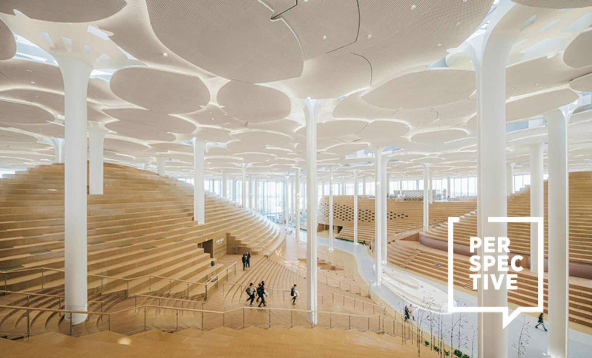 Snohetta perspective thumb